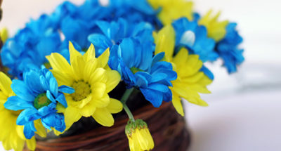 bf9a9cec1e95b27107ff2e4b574972ffd7979827