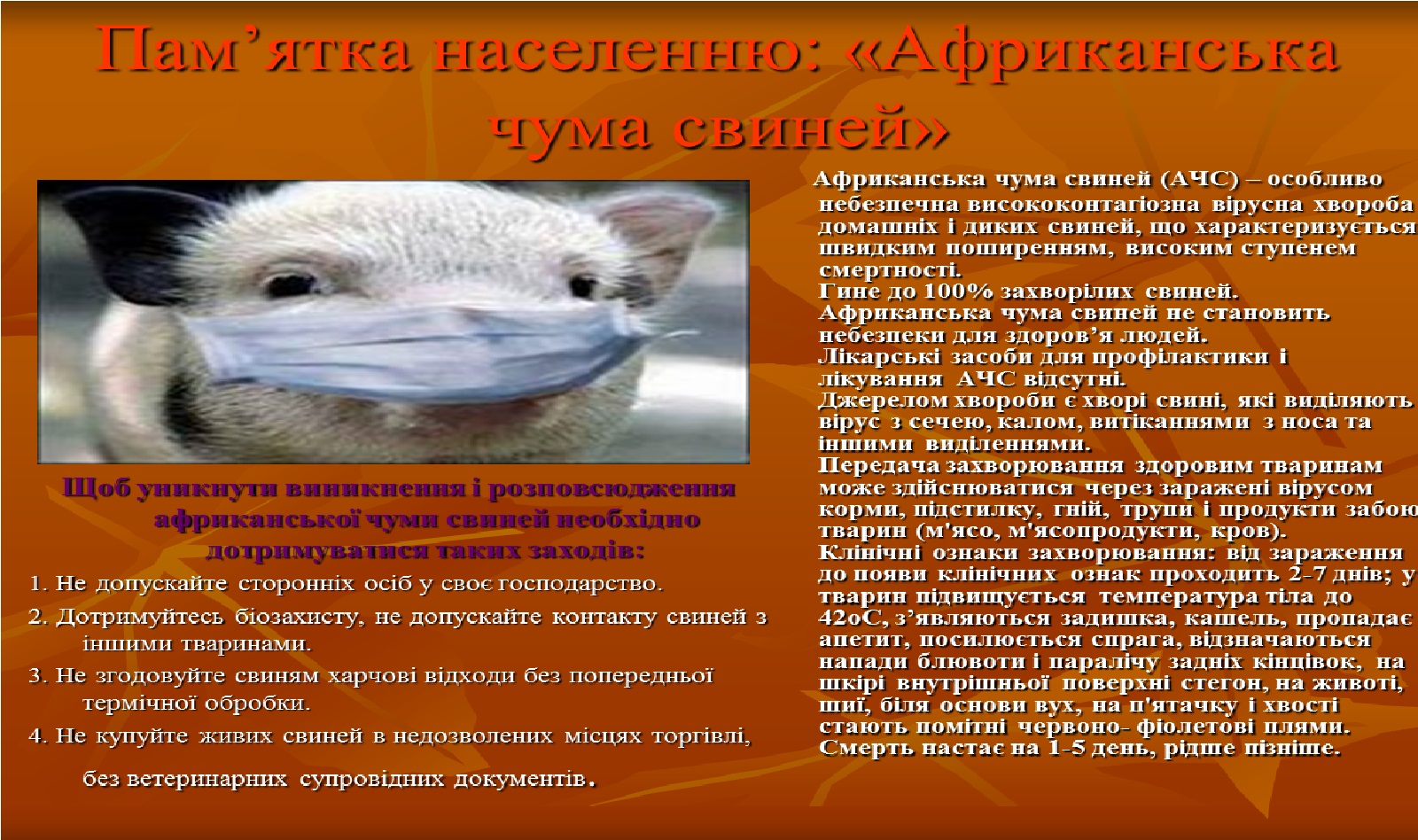 Безымянный