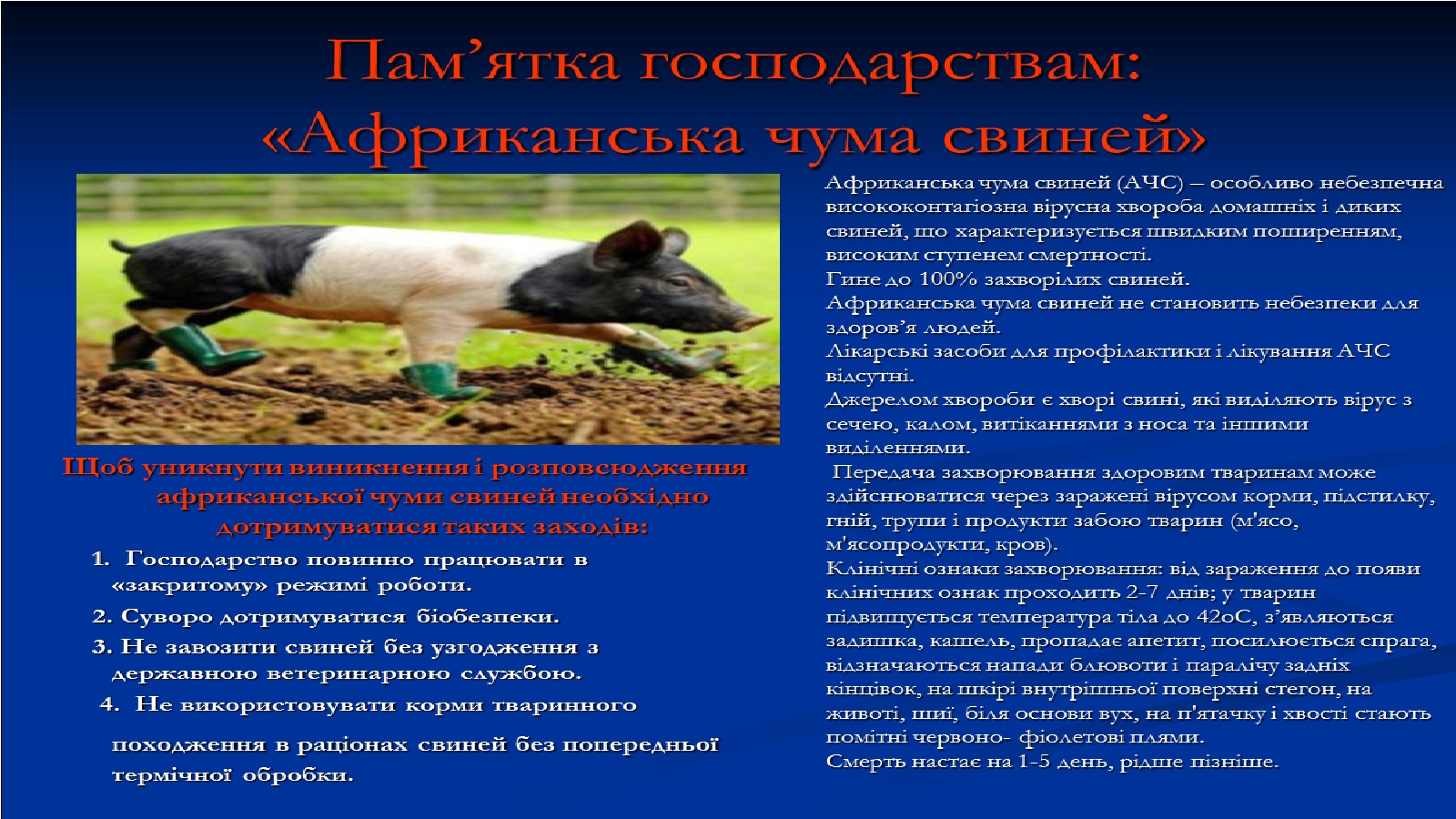 Безымянныйі