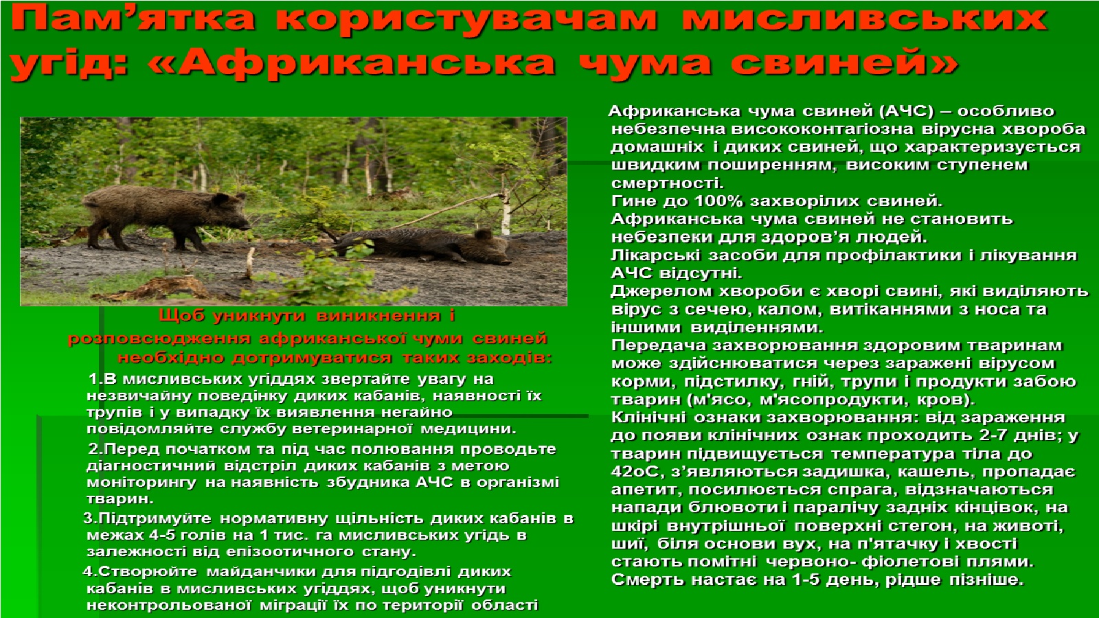 Безымянныйііфф