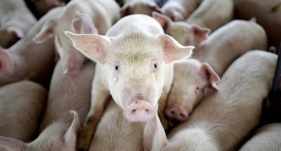 b4136de1ee1564b9d7b351732dd287be