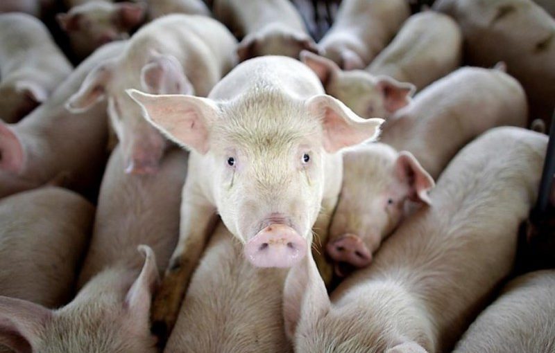 b4136de1ee1564b9d7b351732dd287be