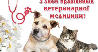 13-Den-pratsivnikiv-veterinarnoyi-meditsini-otkrytka