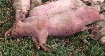 received_164360857451642