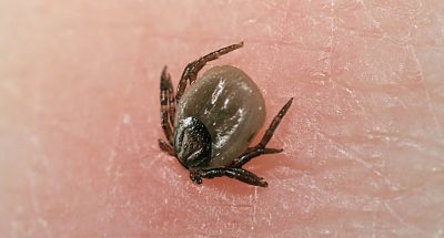 77da5060-f269-4eab-87da-1fc63a5082cc