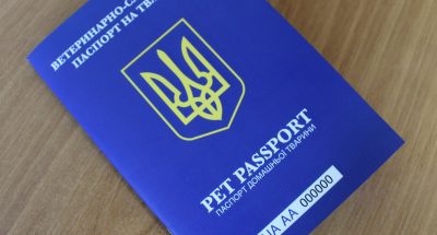 сан паспорт