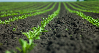 Безымянный