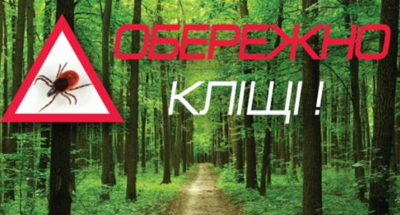 Безымянный