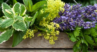 19bae44dfea5d9cd4ab03542ae3cee52