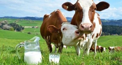 c4971482145df492892a4e1332394090