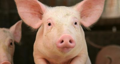 photo1526980860592-1526980860592920358309