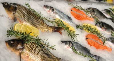 141241818474198000_big