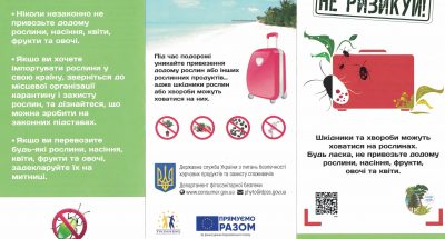 Не ризикуй 1