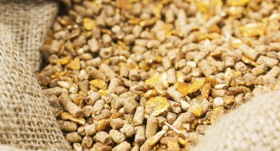 compound20feed20in20sacks20fodder20xl_4242x2788px