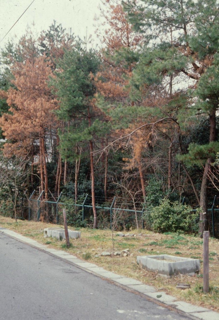 ssn5