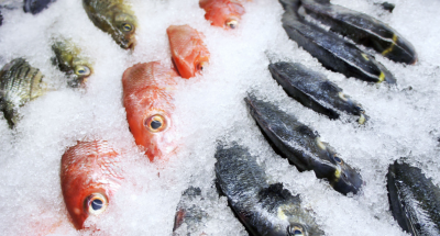 ec167de91eca625d320e793c8eab2bc3