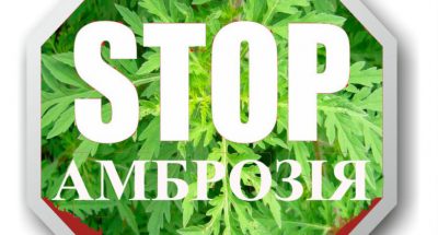 т стоп амброзія - копия