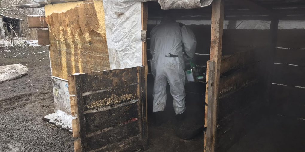 изображение_viber_2020-12-04_22-12