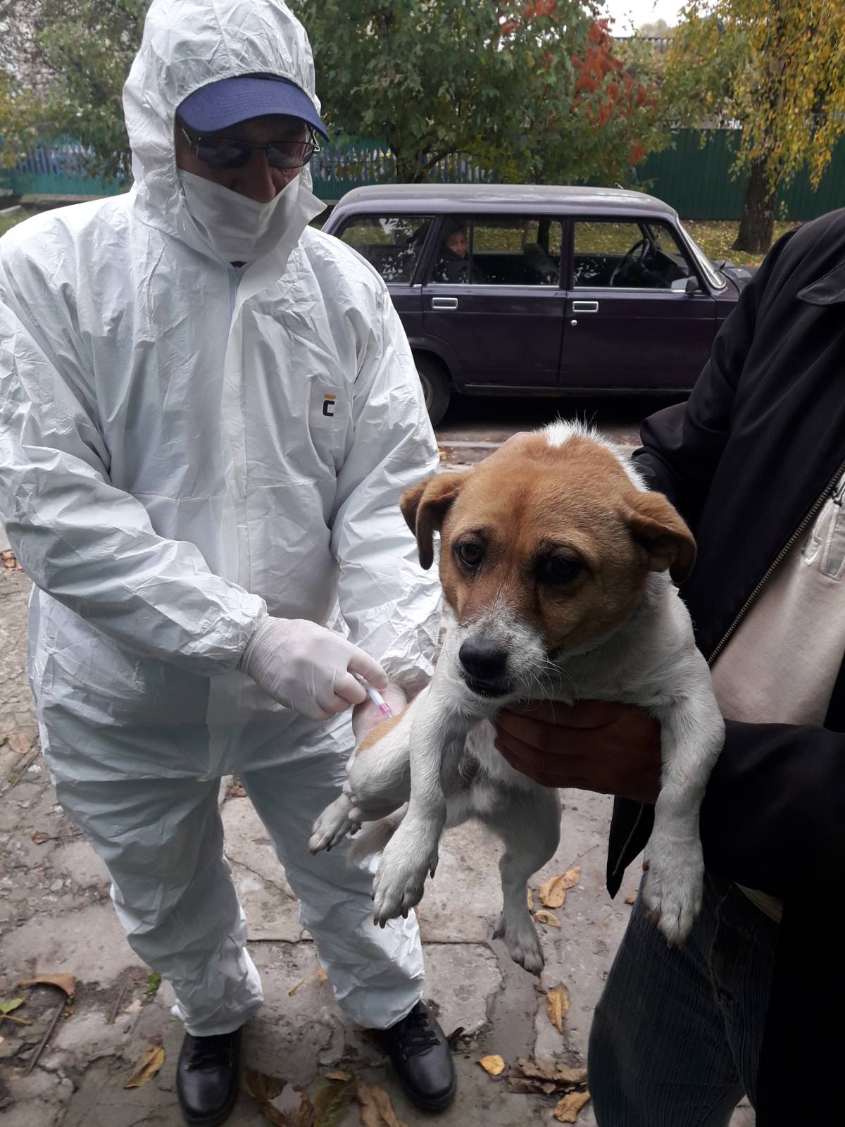 сказ вакцинація2