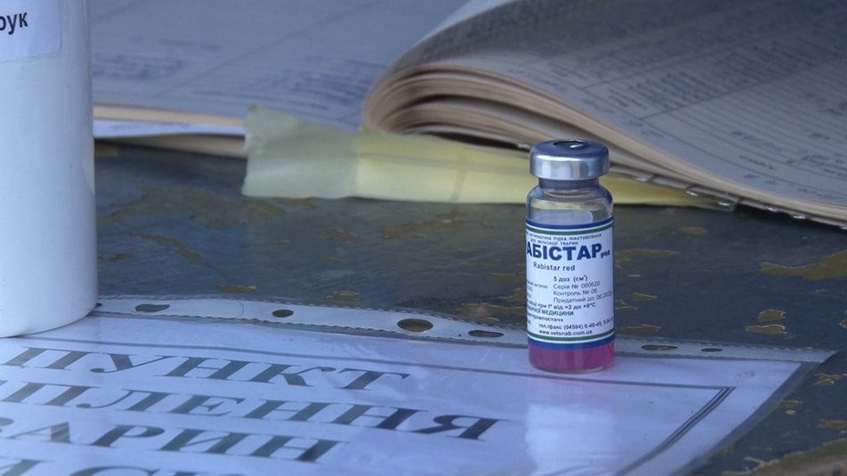 185668669_279547997211774_5146285241158842128_n