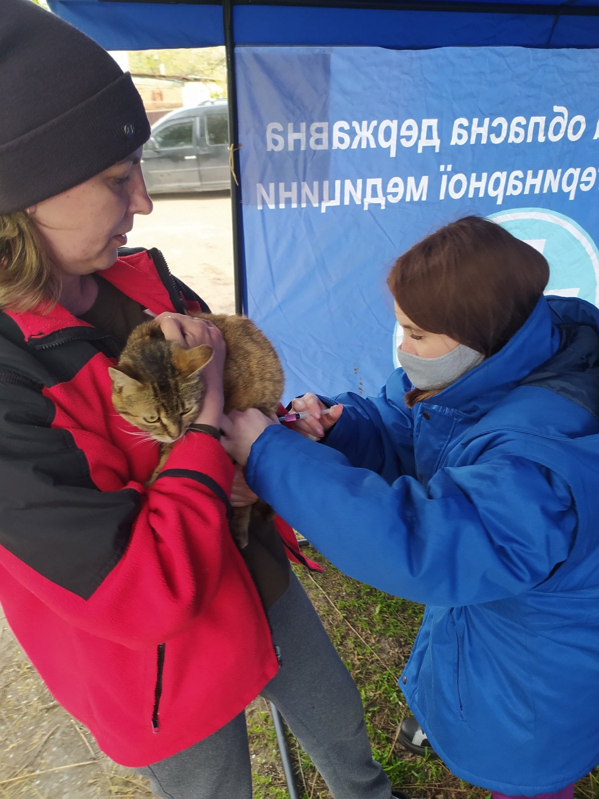 186263305_279547850545122_3736451179079462501_n