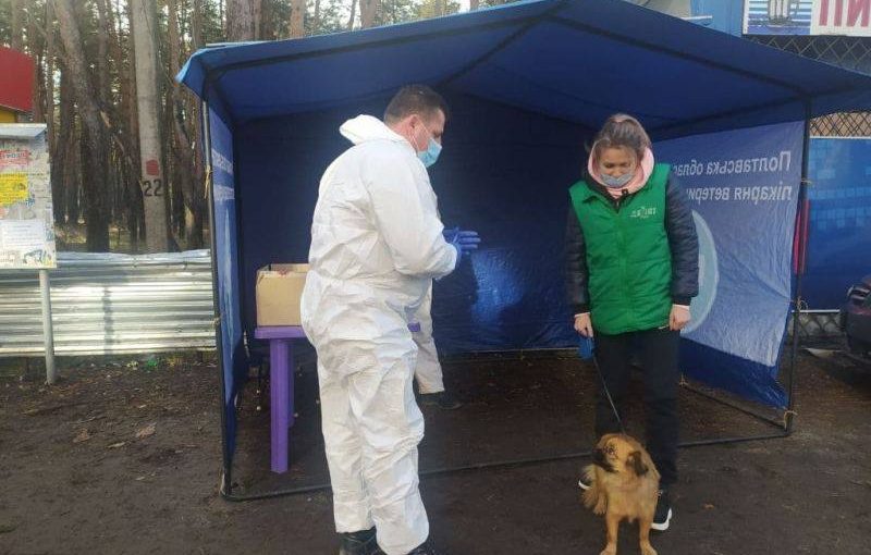 143415316_473272527395986_549528073986737636_n