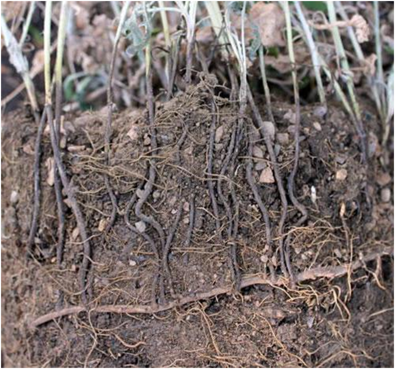 изображение_2022-04-27_114327068