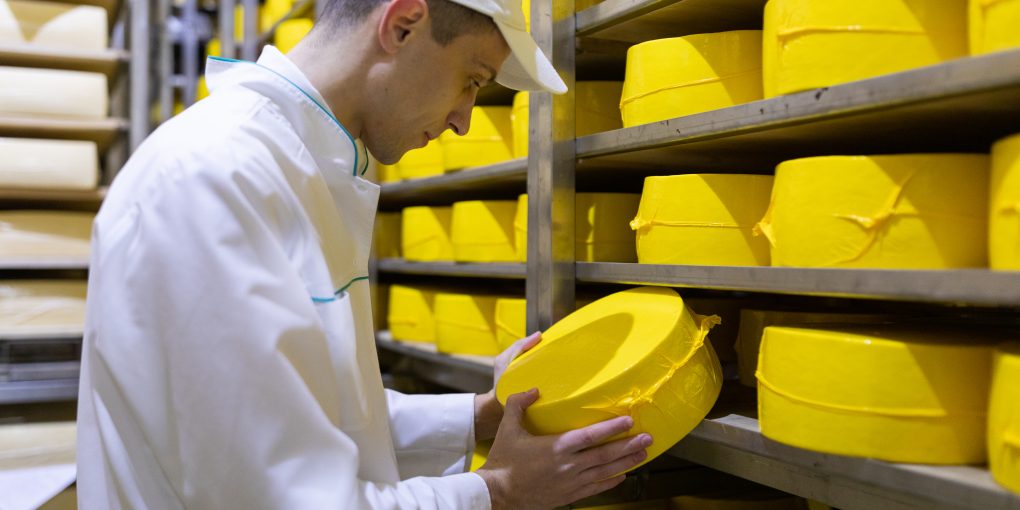 technologist with cheese in his hands make an inspection of ready prooduction at the department of dairy factory