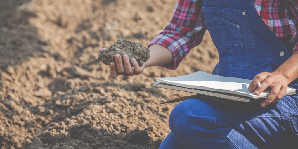 Women farmers are researching the soil.