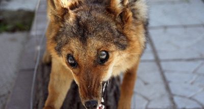 630_360_1578755392-790