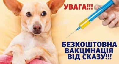 2020-05-18_161752-e1589808042537-ovib9z8630t7zo2z6qlnno3cdepmpy2d13pw313e00