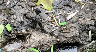 photo_2023-07-10_14-41-22