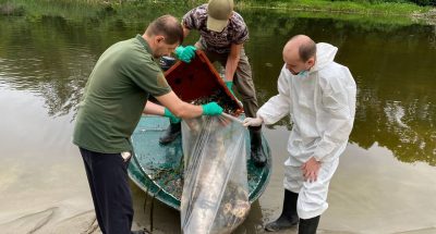 photo_2023-07-14_10-54-56 (2)
