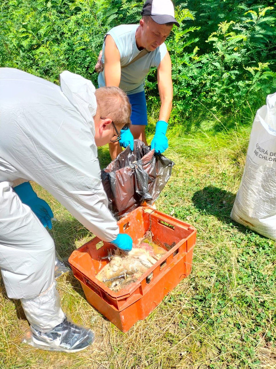 photo_2023-07-17_10-19-51 (2)