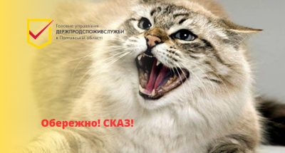 зображення_viber_2023-07-18_16-48-17-969