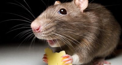 зображення_viber_2023-07-24_16-01-44-877