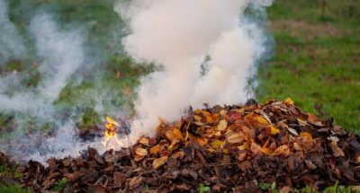 closeup-of-burning-dry-leaves-on-the-ground_181624-58861