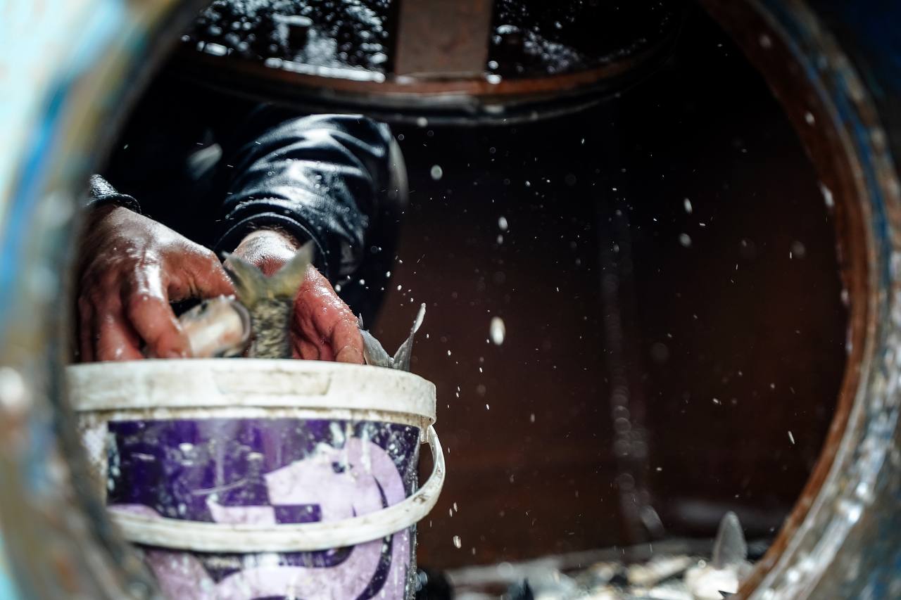 photo_2024-03-28_12-26-43