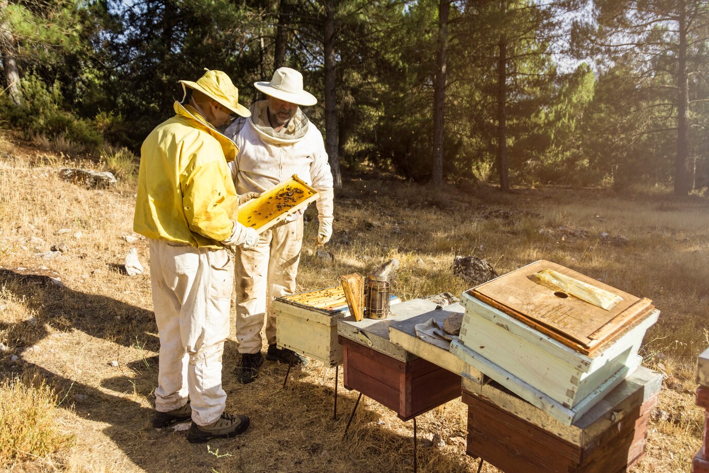 beekeepers_95678-14