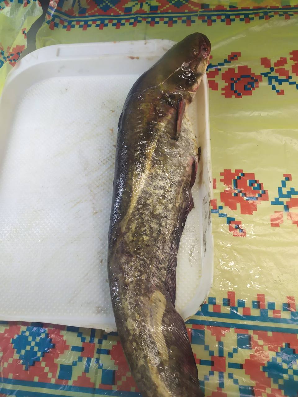 photo_2024-06-13_11-05-19