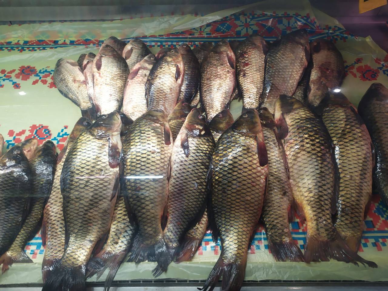 photo_2024-06-13_11-05-20