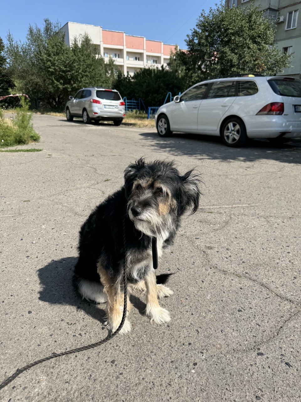 photo_2024-08-02_13-48-12