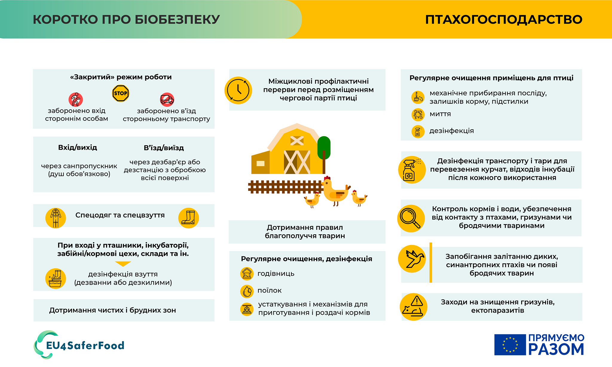 240510437_382490210045065_2842775403004438174_n