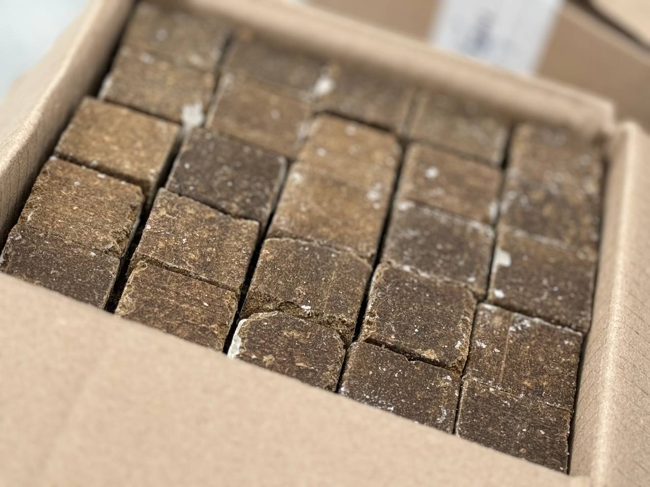 photo_2024-10-08_13-32-42