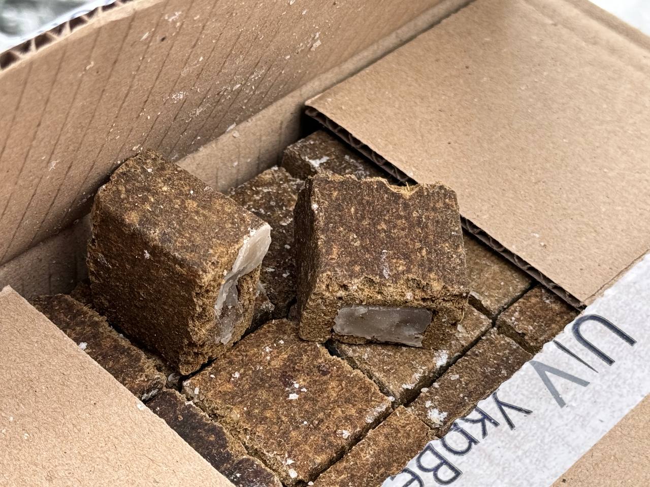 photo_2024-10-08_13-32-43