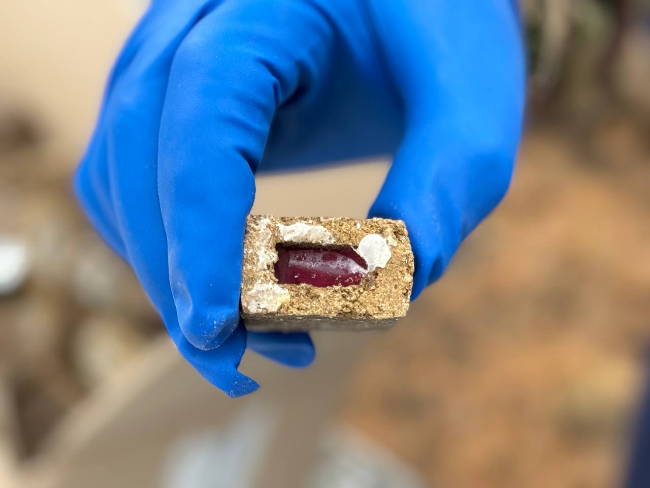 photo_2024-10-08_13-32-44 (2)