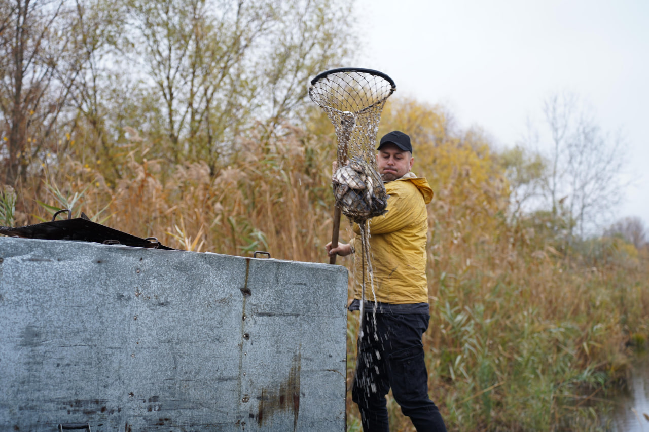 photo_2024-11-14_16-32-24 (2)