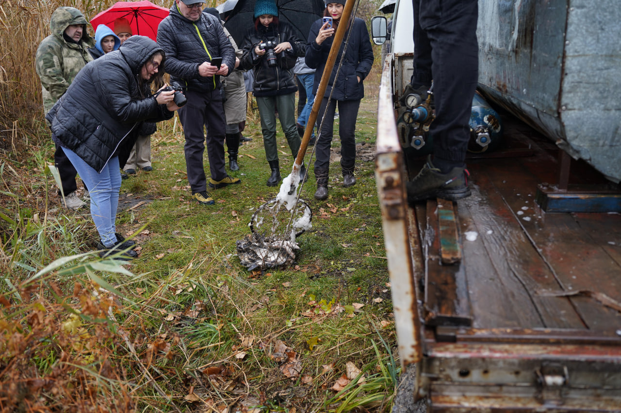 photo_2024-11-14_16-32-24