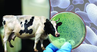 2021_05_20_brutsellez