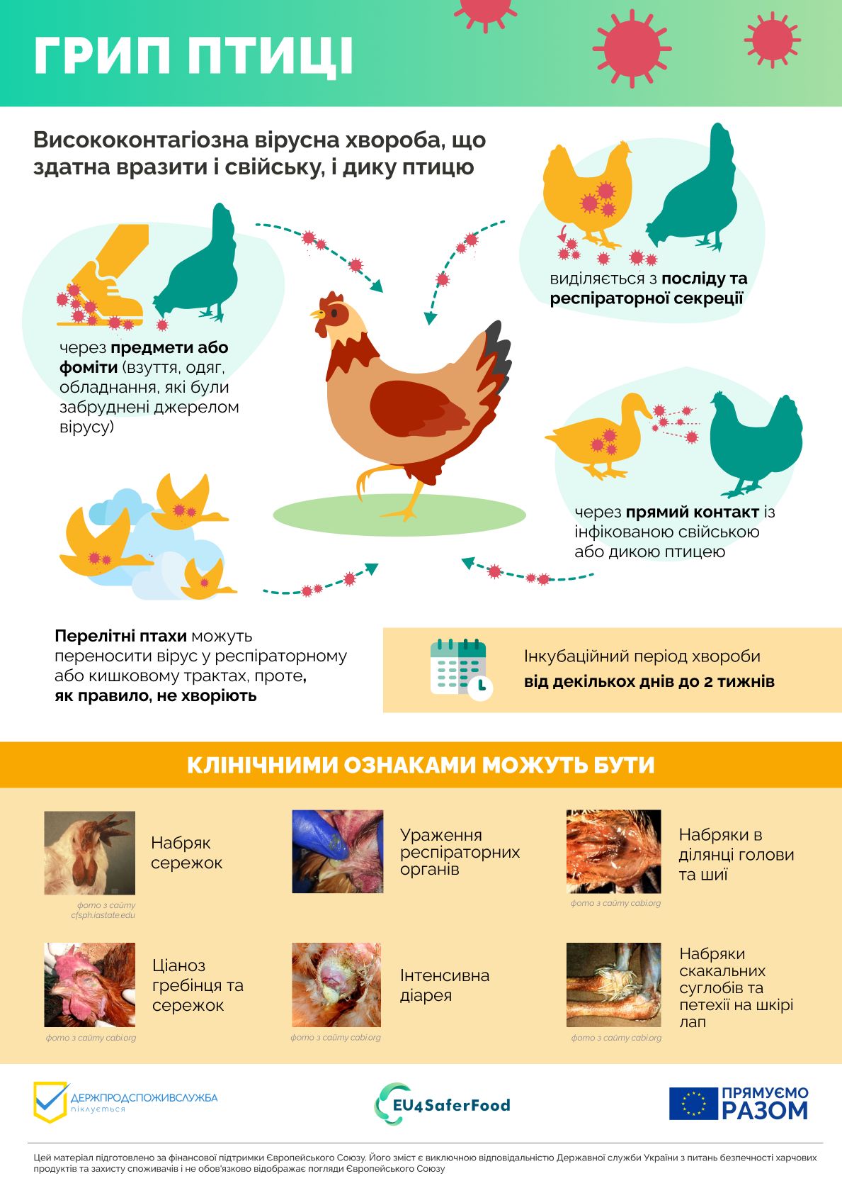 475996122_999150515578905_150786046974915232_n